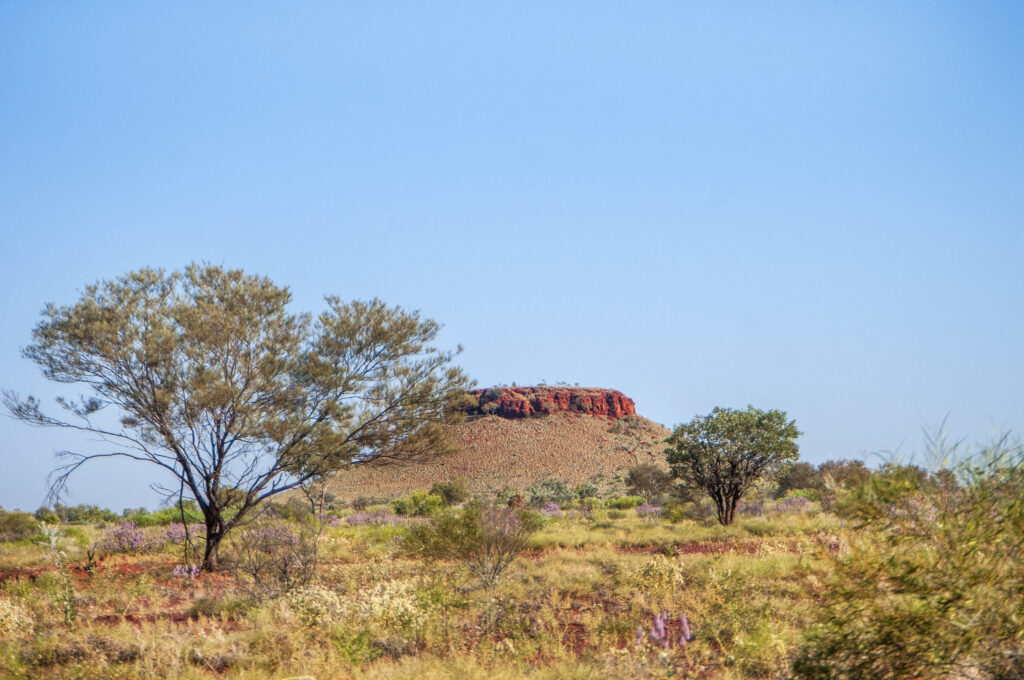 Western Australian landscape